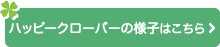 ハッピークローバーの様子はこちら