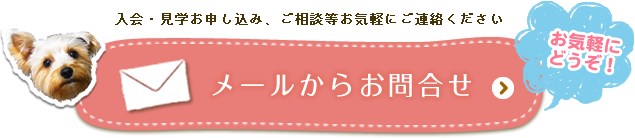 メールからお問合せ